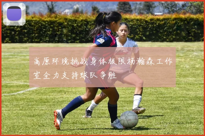 高原环境挑战身体极限杨瀚森工作室全力支持球队争胜
